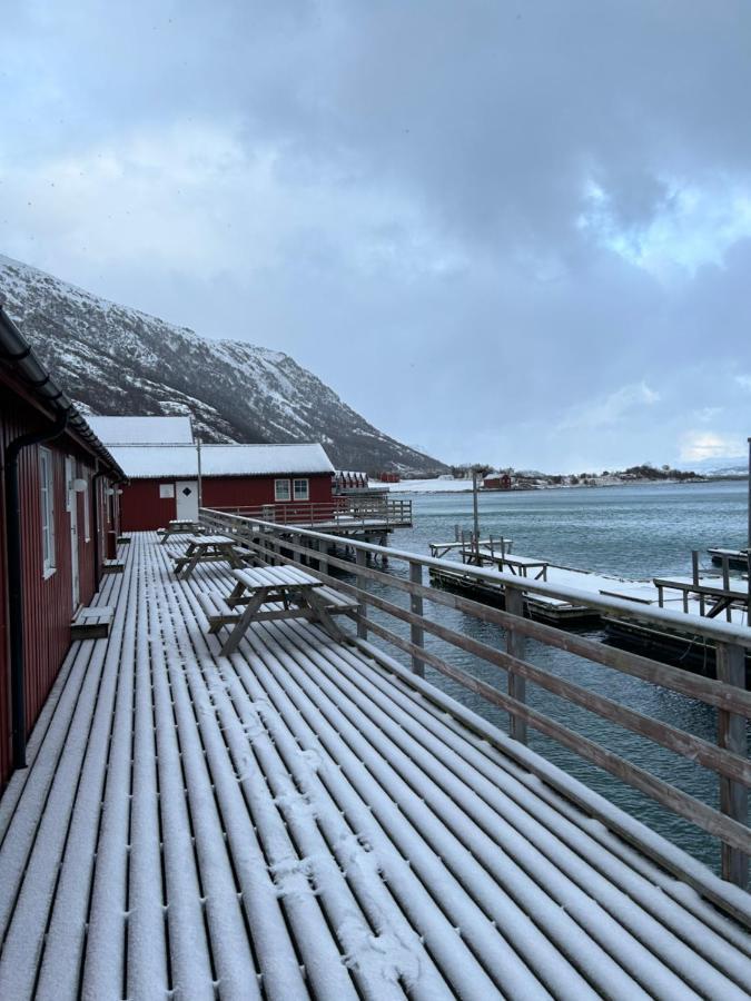 Lofotbua Villa Offersoya Eksteriør bilde
