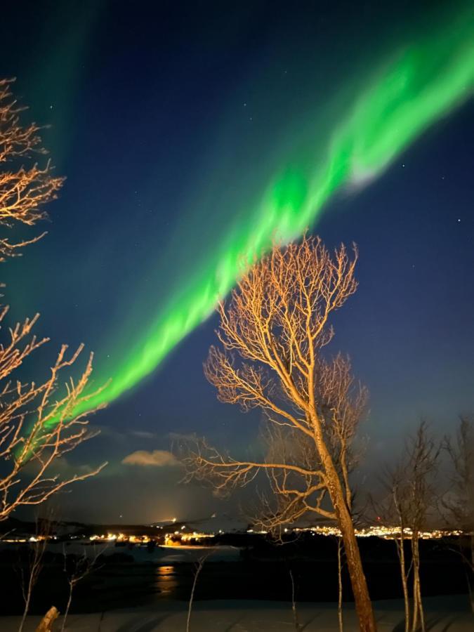 Lofotbua Villa Offersoya Eksteriør bilde
