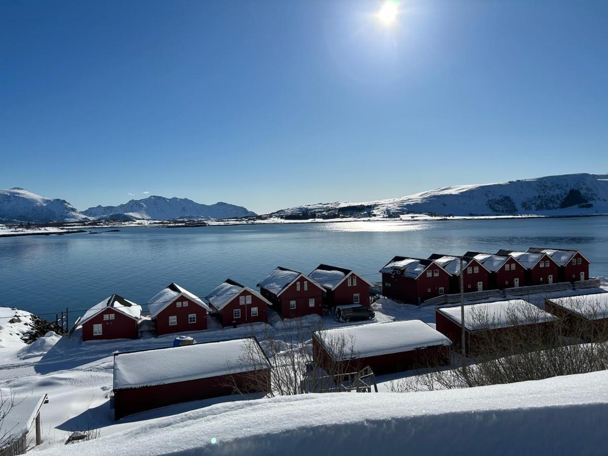 Lofotbua Villa Offersoya Eksteriør bilde